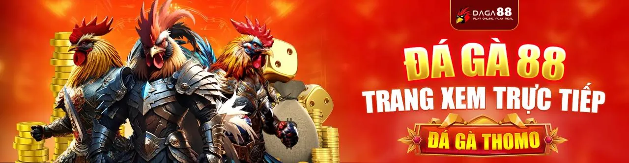 Hỗ trợ khách hàng và cá cược có trách nhiệm AA88